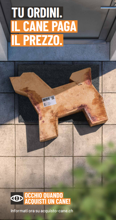 BIld Flyer Hundekampagne IT